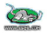 Ice Box Roller Hockey League Inline 